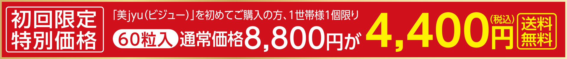 初回特別価格